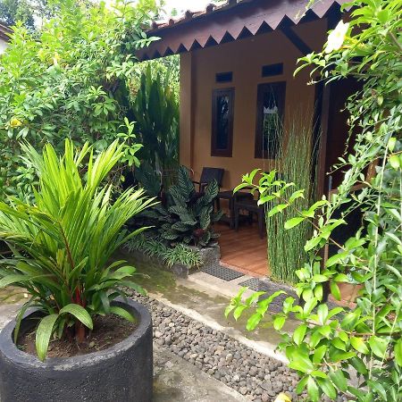 Juda Homestay Banyuwangi  Eksteriør billede