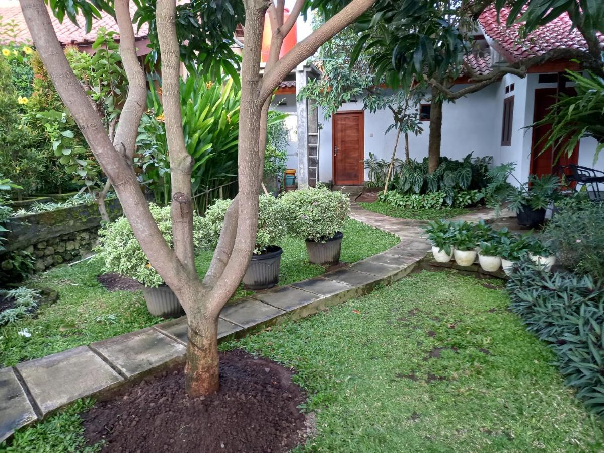 Juda Homestay Banyuwangi  Eksteriør billede