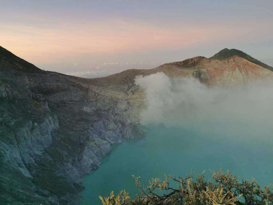 Juda Homestay Banyuwangi  Eksteriør billede