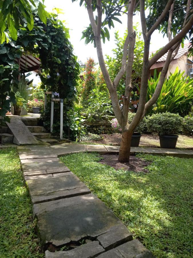 Juda Homestay Banyuwangi  Eksteriør billede