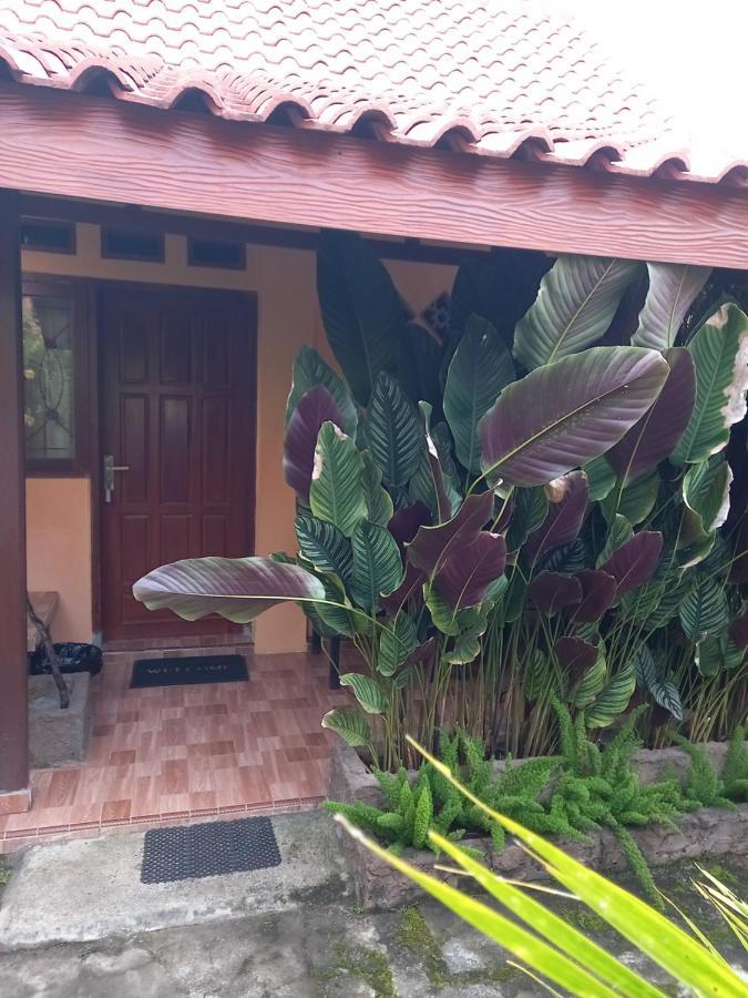 Juda Homestay Banyuwangi  Eksteriør billede