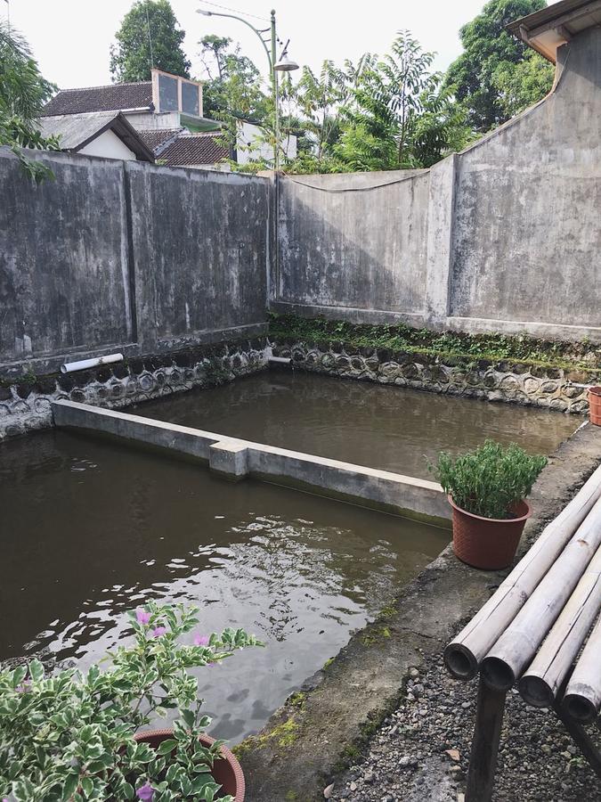 Juda Homestay Banyuwangi  Eksteriør billede
